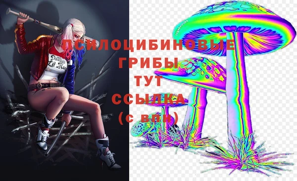 бошки Аркадак