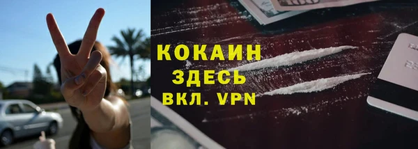 мяу мяу кристалл Арсеньев