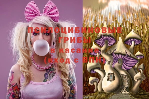 бошки Аркадак