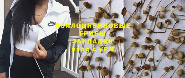 метадон Армянск