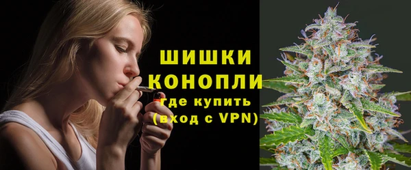 бошки Аркадак