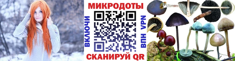 Псилоцибиновые грибы Psilocybe  цены   Таштагол 